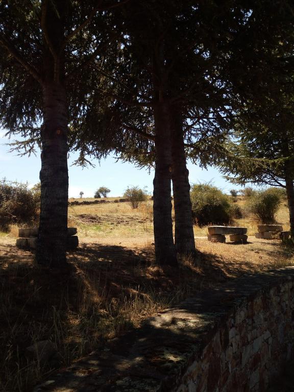 El Egio Casa de hóspedes Cervera de Buitrago Exterior foto